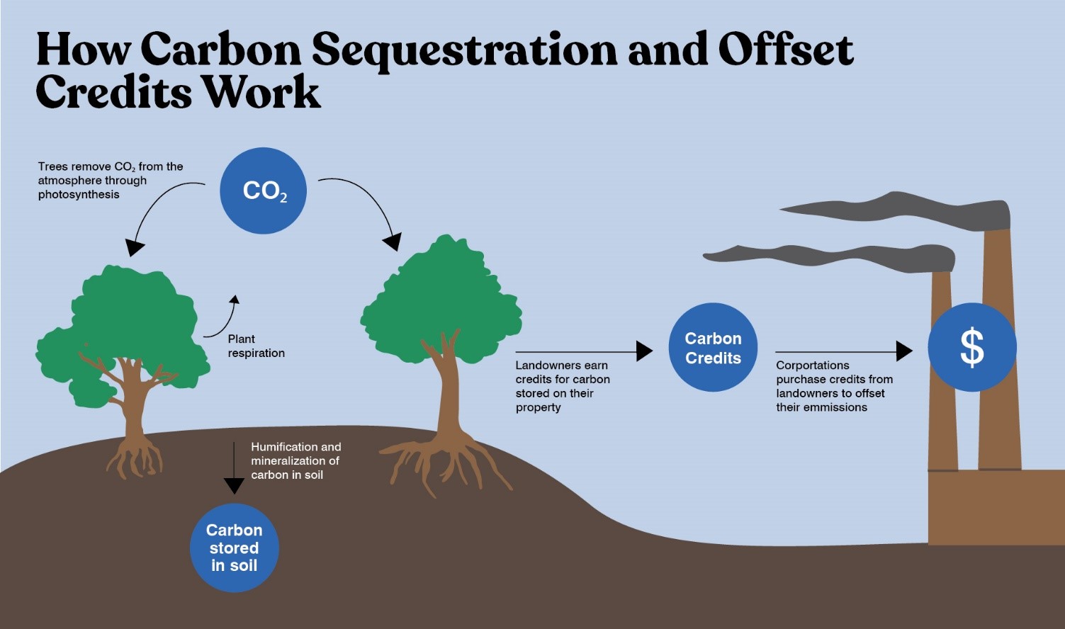 An illustration of how carbon offsetting works to ultimately reduce atmospheric carbon dioxide