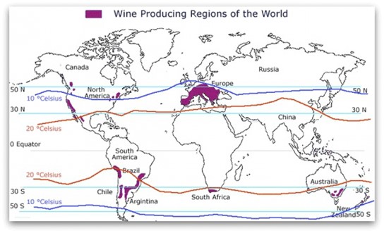 world wine producing regions