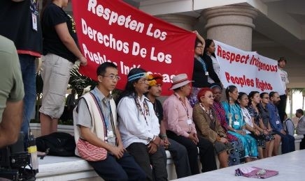 UNFCCC Indigenous Voices